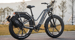 The Titan. (Source: Fiido)