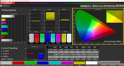 CalMAN standard color space