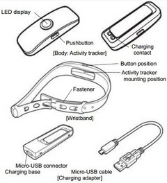 Toshiba WERAM1100 activity tracker at the FCC