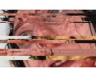A screenshot from the horror game VILE: Exhumed, depicting a paused and glitched VHS video of a woman. (Image Source: DreadXP/Final Girl Games)