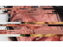 A screenshot from the horror game VILE: Exhumed, depicting a paused and glitched VHS video of a woman. (Image Source: DreadXP/Final Girl Games)