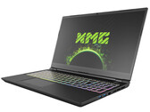 Schenker XMG Pro 15 (Clevo PC50HS-D) review: Thin and light 4K gaming laptop