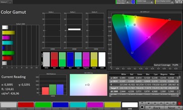 CalMAN DCI P3 color space