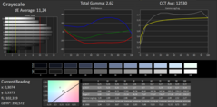 CalMAN Grayscale (pre-calibration)