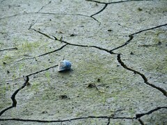 An image showing a crack in arid soil. (Image source: To Tao - Pexels)