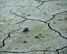 An image showing a crack in arid soil. (Image source: To Tao - Pexels)