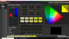 CalMAN: Saturation (calibrated)