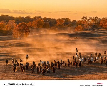 (Image source: Huawei)