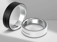 The Vibe is available in these two different model variants (Image source: Rollme)