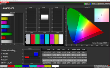 CalMAN: Colour Space - automatic contrast, standard colours, DCI P3 target colour space
