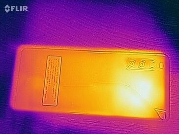 Heat map - Back