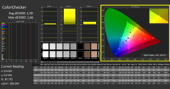 CalMAN - Color Checker (calibrated)