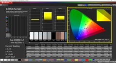 CalMAN ColorChecker (target color space P3)