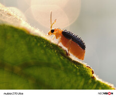 (Image source: ZTE)