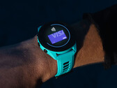 Garmin is not done with 18.xx development for the Forerunner 265 just yet. (Image source: Garmin)