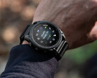 The Fenix 8 is one of several smartwatches now eligible to download System Software 21.25.