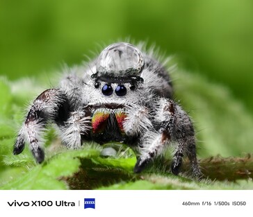 （图片来源：Vivo）