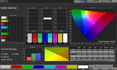 CalMAN Color Space
