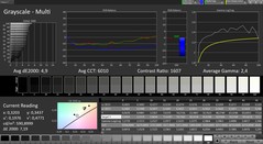 CalMAN grayscale (profile: Lively; color space: sRGB)