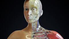 Fraunhofer's Cuttlefish 3D-printing platform can now mold prosthetic eyes (image: Fraunhofer)