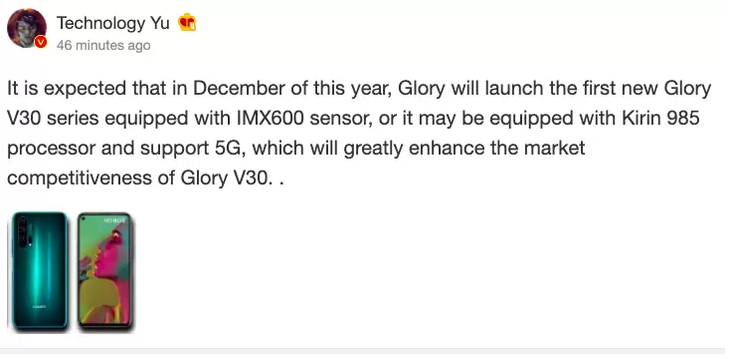 The new leak also implies that the Honor V30 will have a punch-hole display. (Source: IndiaShopps)