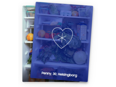 Refrigerdating: The search for “the one” based on the contents of their refrigerator