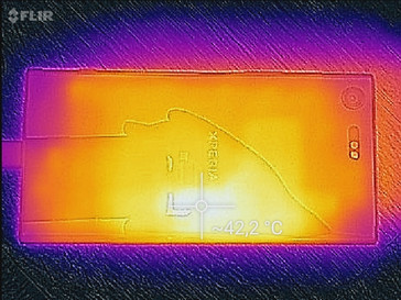 Heat map back