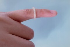 3D-printed insect repellent ring developed by Martin Luther University Halle-Wittenberg (Image source: Uni Halle / Fanfan Du)