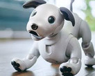 Sony has released a limited edition of aibo in the United States. (Source: hothardware)