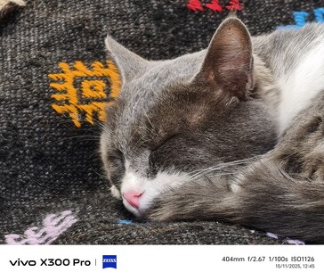 Vivo X300 Pro 400 mm without tele-converter.