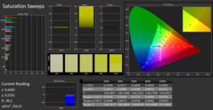 CalMan: SaturationSweeps after calibration