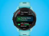 The Forerunner 265 series is available in two sizes. (Image source: Garmin)