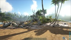 Ark Survival Evolved