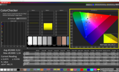 CalMAN - ColorChecker (calibrated)