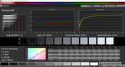 CalMAN Standard – sRGB grayscales