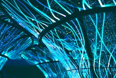 Fiber optic cables can also be used to create works of art. (Image source: Pexels/Georgie Devlin)