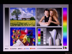 Wide OLED viewing angles