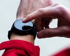 A new beta update has arrived for the Garmin Forerunner 955 smartwatch. (Image source: Garmin)