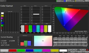 CalMAN sRGB color space
