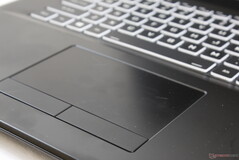 Fingerprints accumulate very quickly on the completely smooth trackpad which also doubles as a fingerprint reader