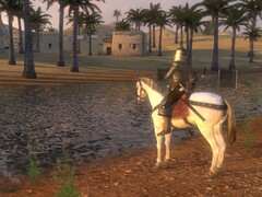 Image from the game Mount &amp; Blade: Warband. (Image source: Steam)