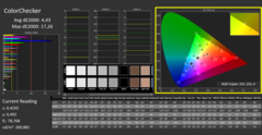 CalMAN - Color Checker (calibrated)