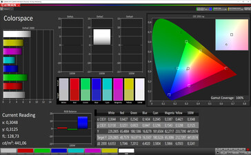 CalMAN color space (sRGB target color space)