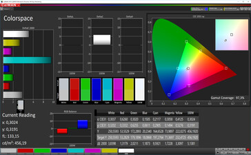 CalMAN: Colour Space – sRGB target colour space, custom white balance