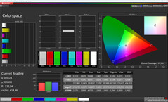 Color space (Color profile: Natural, Target color space: sRGB) | Main display