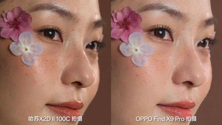 A detailed comparison. (Image source: Zhou Yibao)