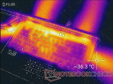 Four sets of rear exhaust vents