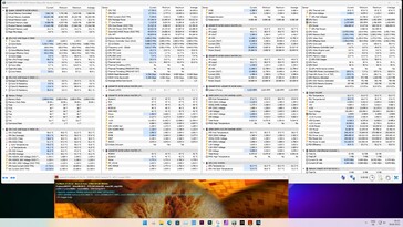 Stress test FurMark (PT, 121 per cent)