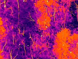 A thermal imaging camera is integrated.