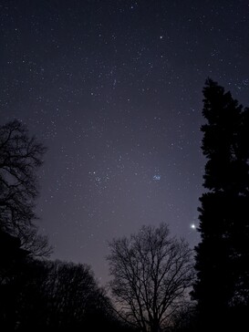 Night sky, taken with the Google Pixel 4 XL